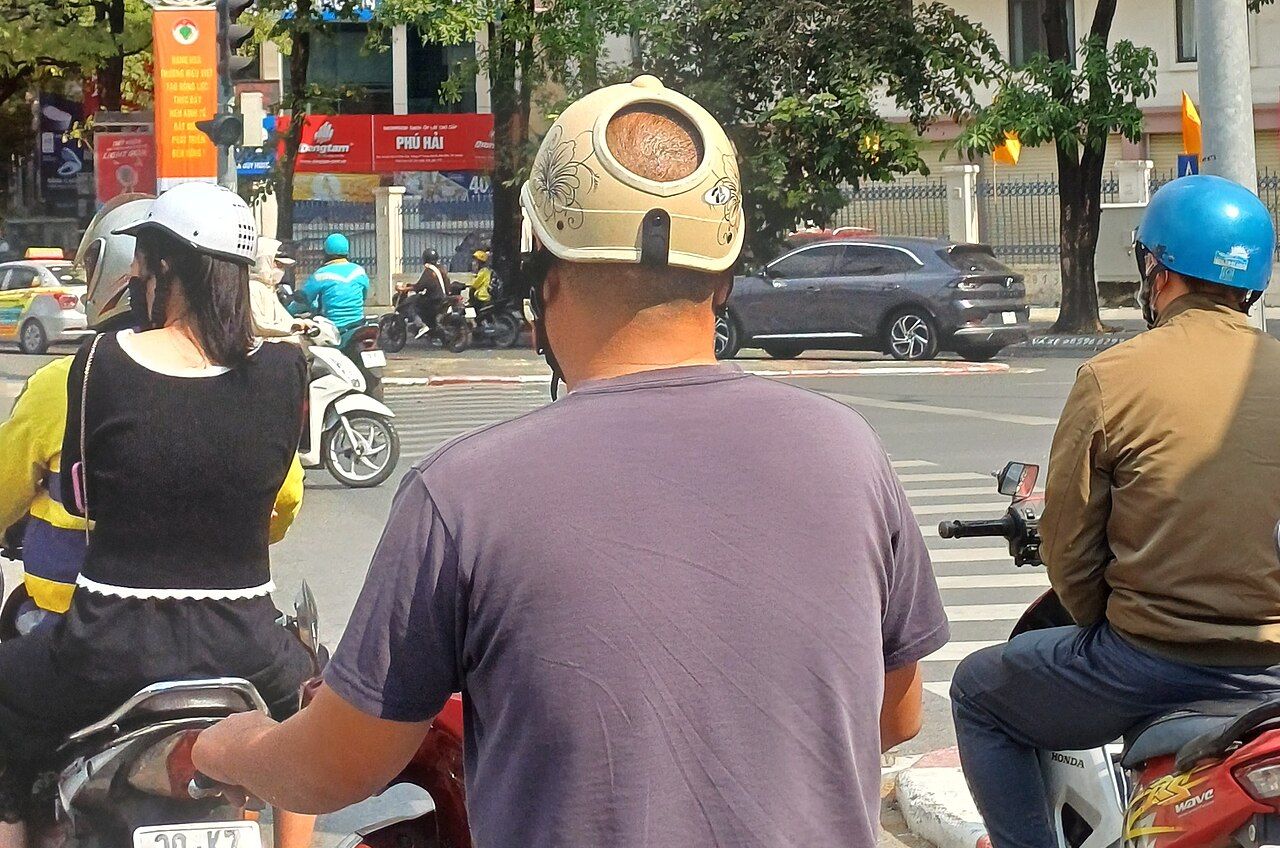 (Fotó: https://commons.wikimedia.org/wiki/File:Baldness.jpg)